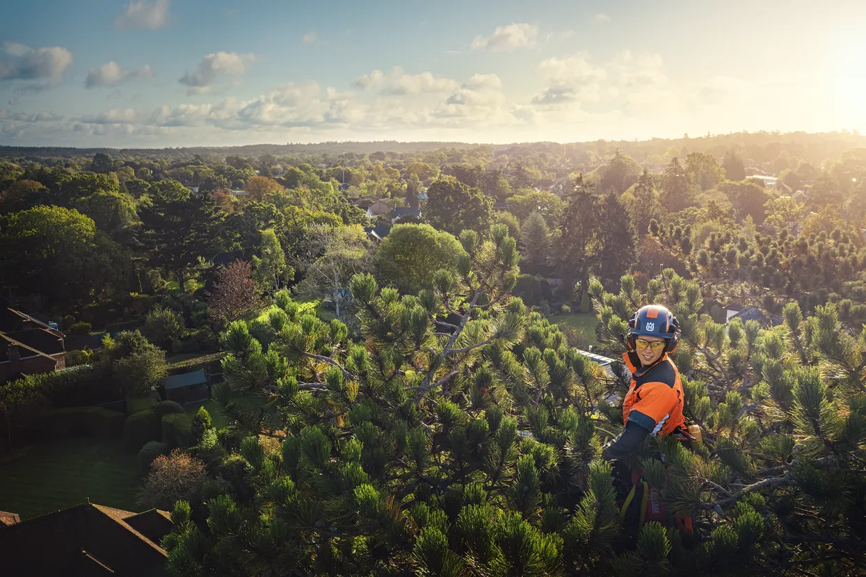 From Home Gardens to Urban Greenery, Leading Low-Carbon Transformation